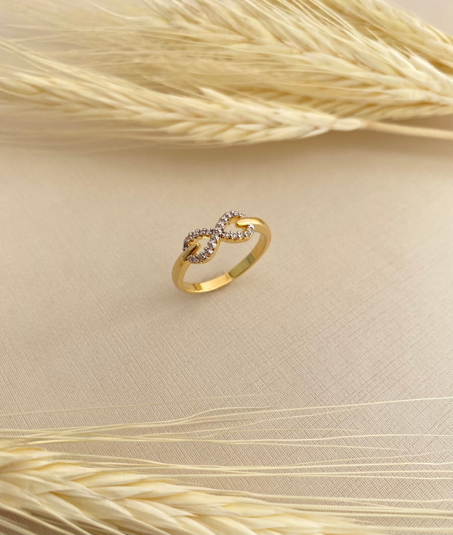 ANEL INFINITO CRAVEJADO