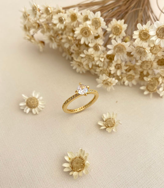 ANEL LUMINE CRAVEJADO