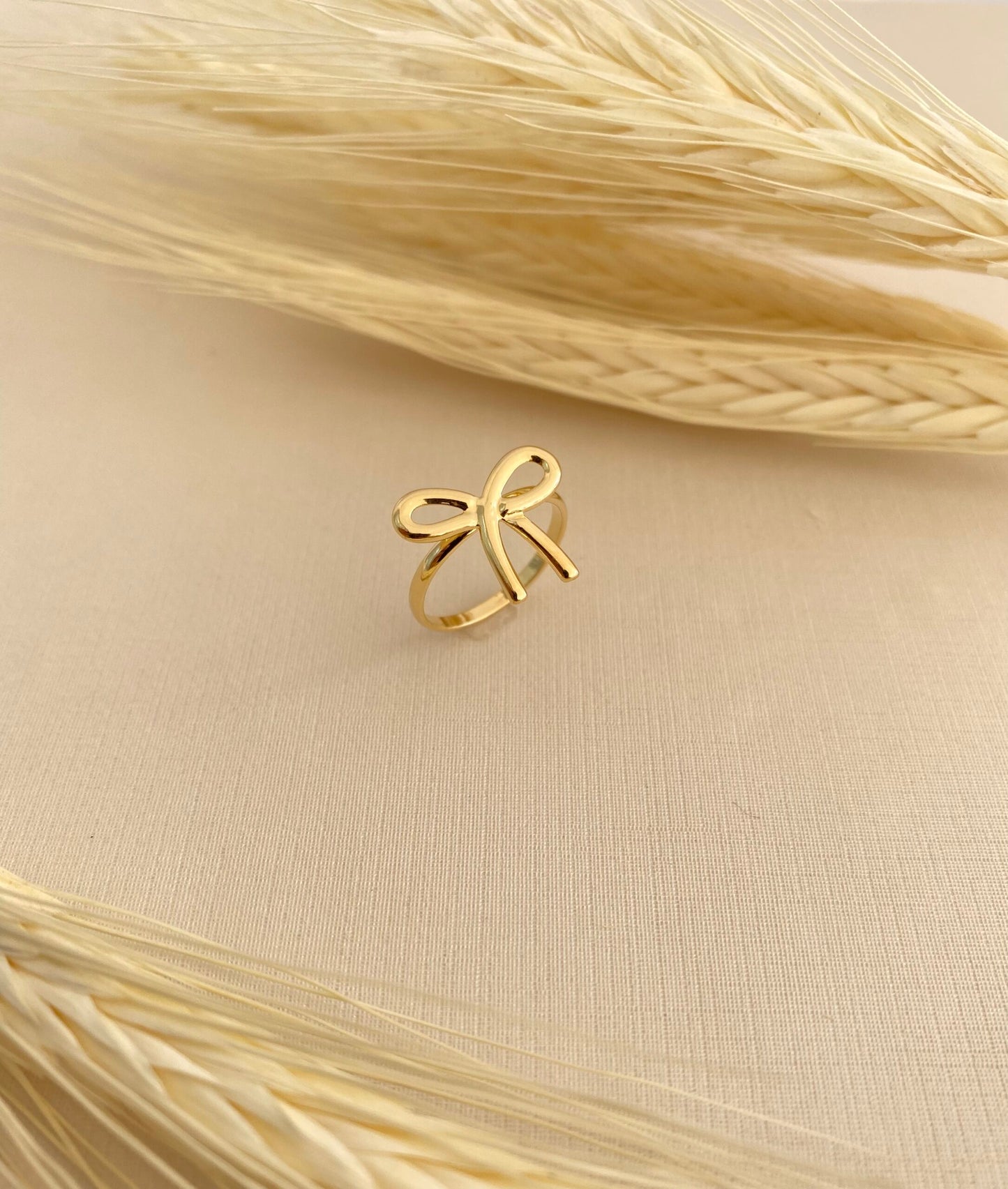 ANEL FALANGE DE LAÇO